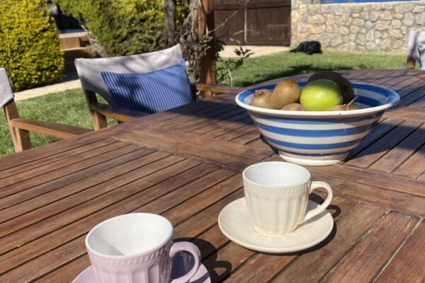 0d2eccd7-bf68-4545-81e7-75b76c8ab985