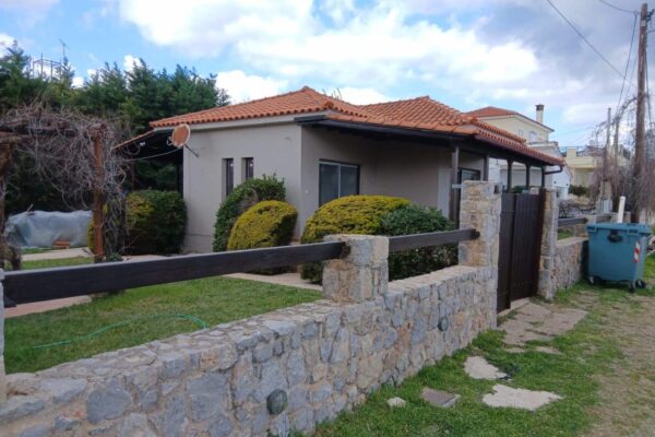 viber_image_2026-04-26_14-45-15-342